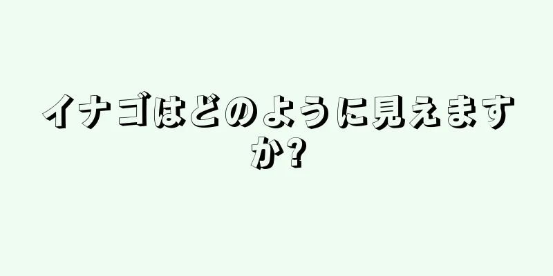 イナゴはどのように見えますか?