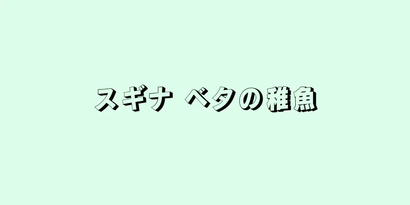 スギナ ベタの稚魚