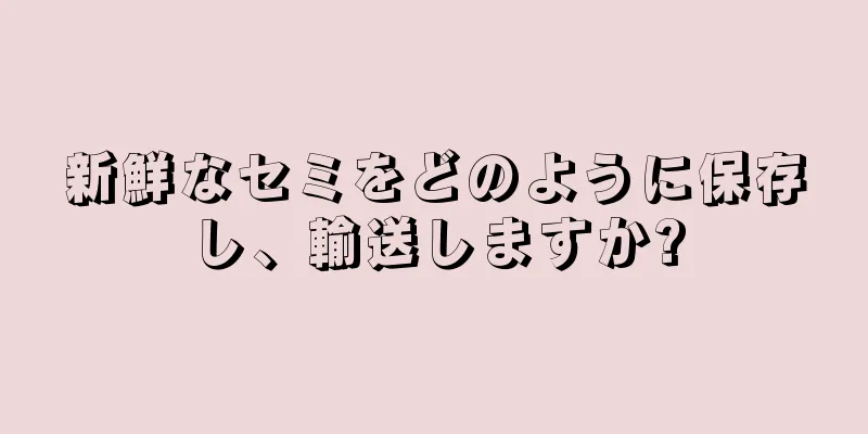 新鮮なセミをどのように保存し、輸送しますか?