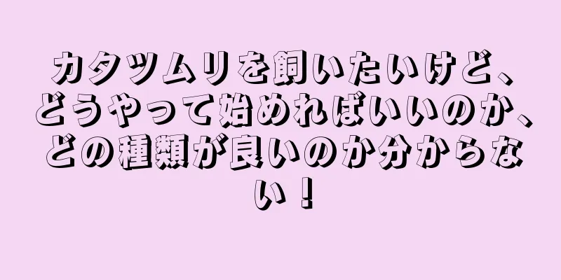 カタツムリを飼いたいけど、どうやって始めればいいのか、どの種類が良いのか分からない！