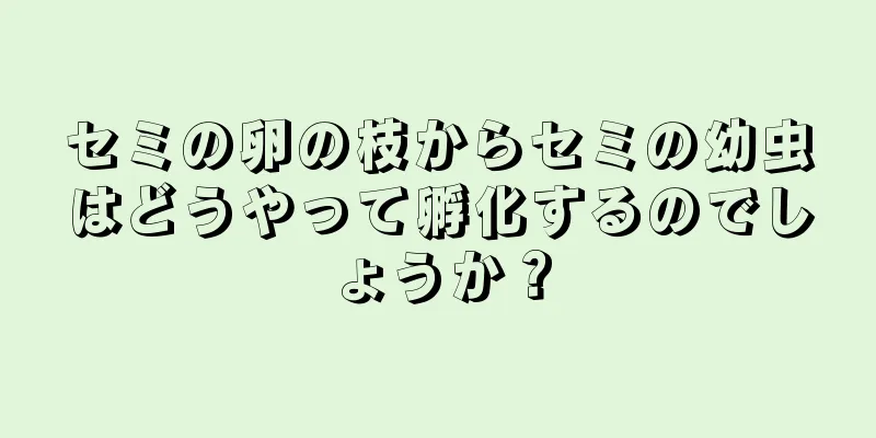 セミの卵の枝からセミの幼虫はどうやって孵化するのでしょうか？