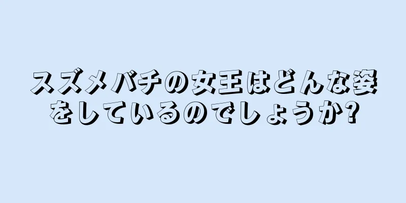 スズメバチの女王はどんな姿をしているのでしょうか?