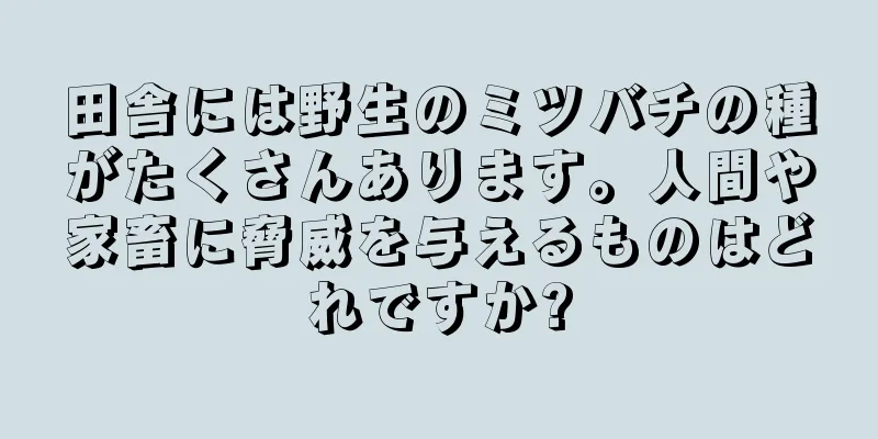 田舎には野生のミツバチの種がたくさんあります。人間や家畜に脅威を与えるものはどれですか?