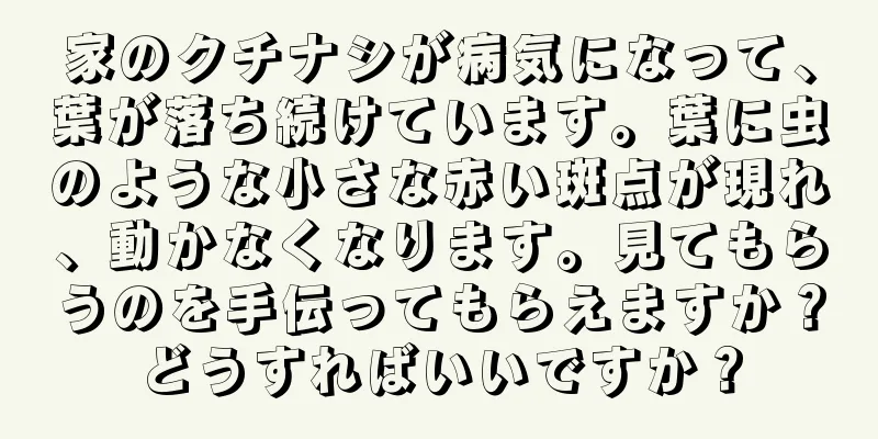 家のクチナシが病気になって、葉が落ち続けています。葉に虫のような小さな赤い斑点が現れ、動かなくなります。見てもらうのを手伝ってもらえますか？どうすればいいですか？
