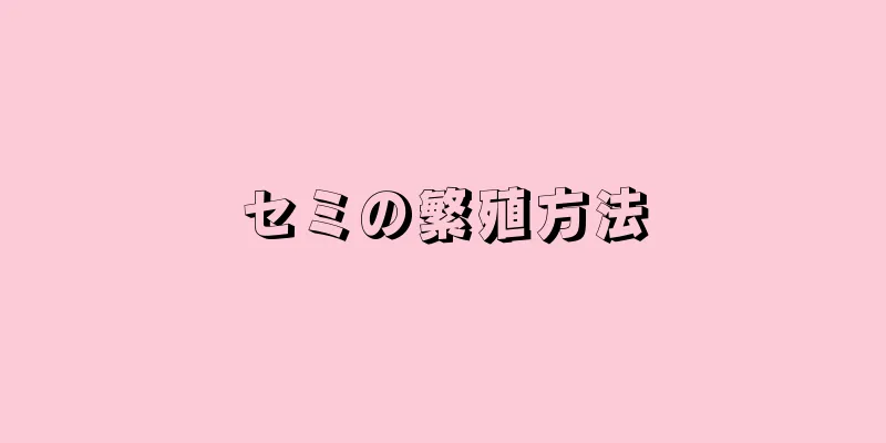セミの繁殖方法