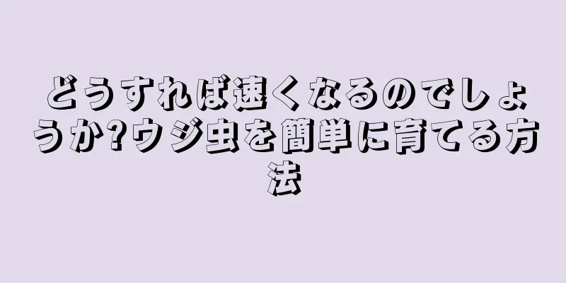 どうすれば速くなるのでしょうか?ウジ虫を簡単に育てる方法