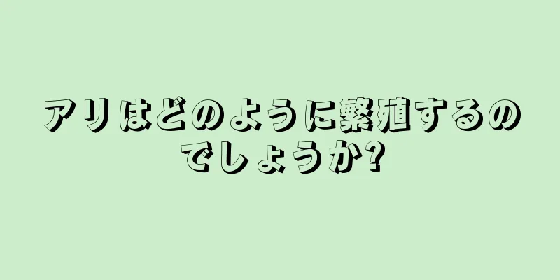 アリはどのように繁殖するのでしょうか?