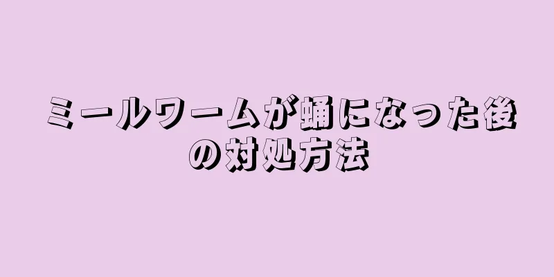 ミールワームが蛹になった後の対処方法