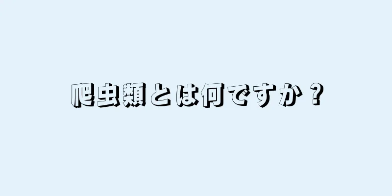 爬虫類とは何ですか？