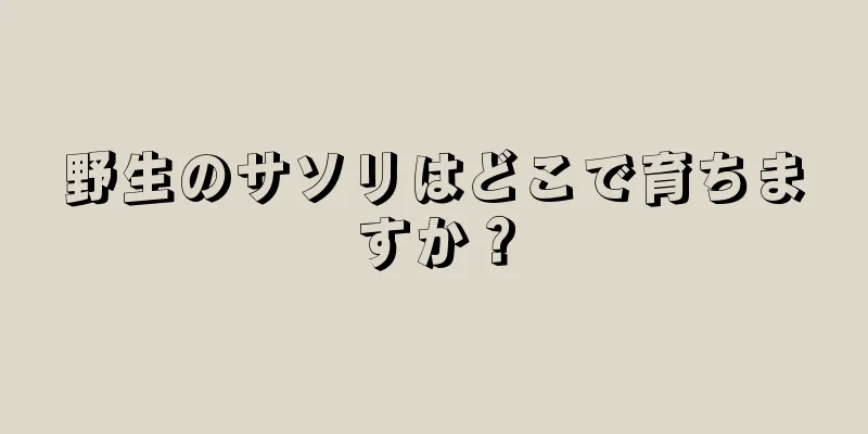 野生のサソリはどこで育ちますか？