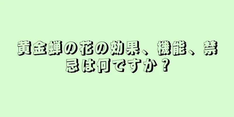 黄金蝉の花の効果、機能、禁忌は何ですか？