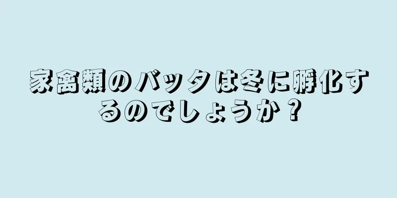 家禽類のバッタは冬に孵化するのでしょうか？