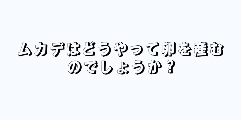 ムカデはどうやって卵を産むのでしょうか？