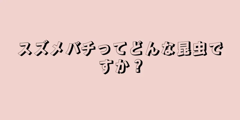 スズメバチってどんな昆虫ですか？