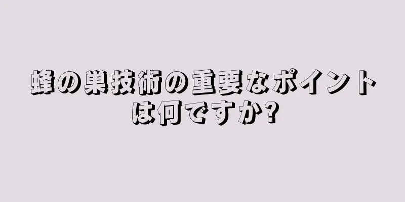 蜂の巣技術の重要なポイントは何ですか?