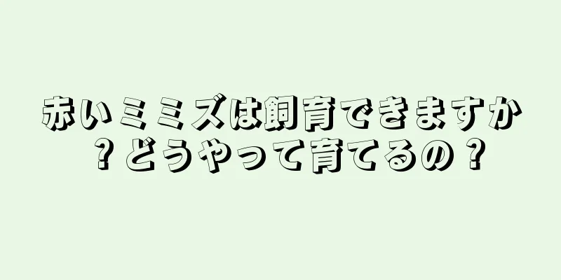 赤いミミズは飼育できますか？どうやって育てるの？