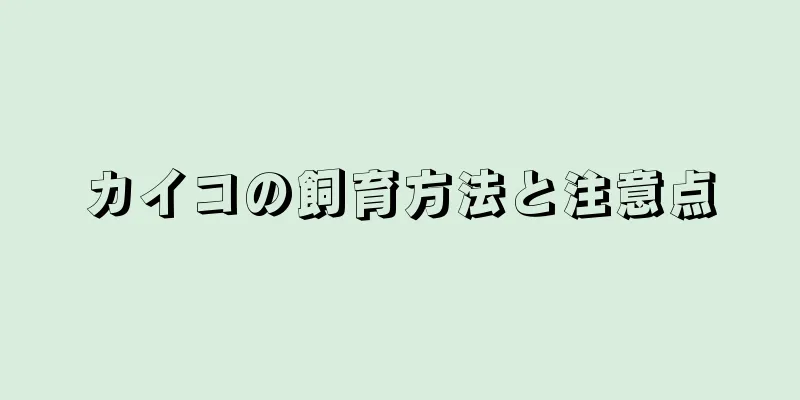 カイコの飼育方法と注意点
