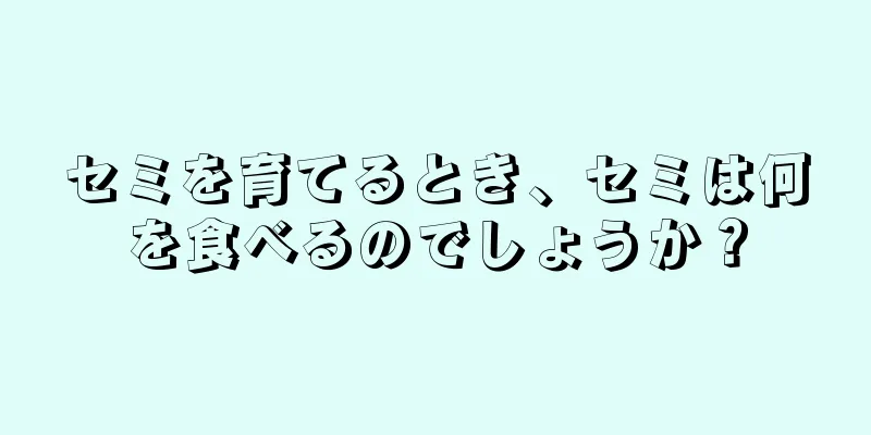 セミを育てるとき、セミは何を食べるのでしょうか？