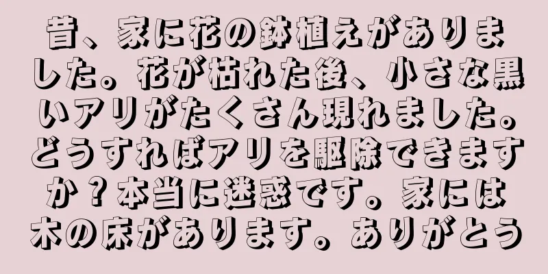 昔、家に花の鉢植えがありました。花が枯れた後、小さな黒いアリがたくさん現れました。どうすればアリを駆除できますか？本当に迷惑です。家には木の床があります。ありがとう