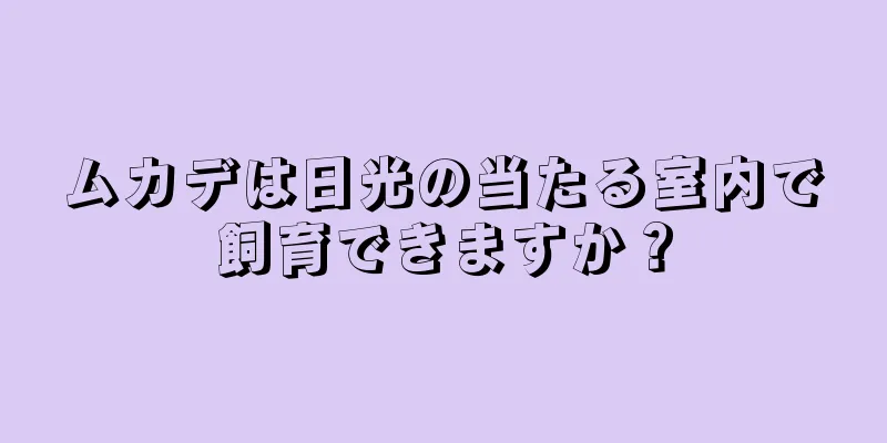 ムカデは日光の当たる室内で飼育できますか？
