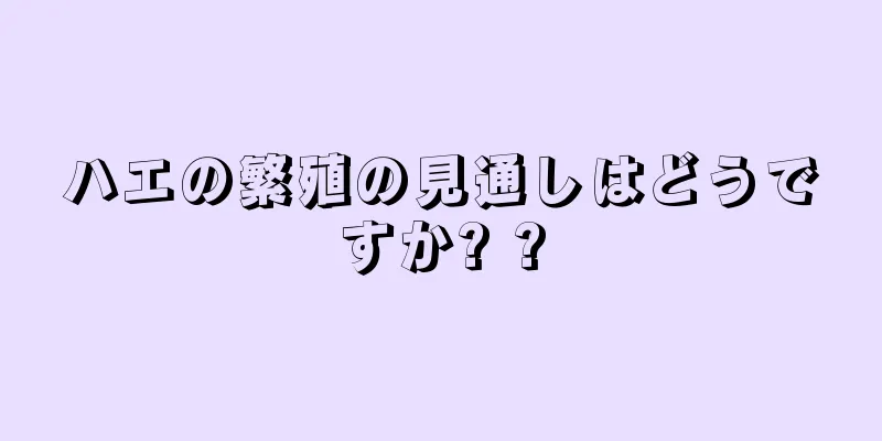 ハエの繁殖の見通しはどうですか? ?