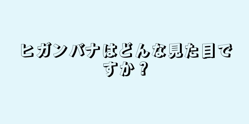 ヒガンバナはどんな見た目ですか？