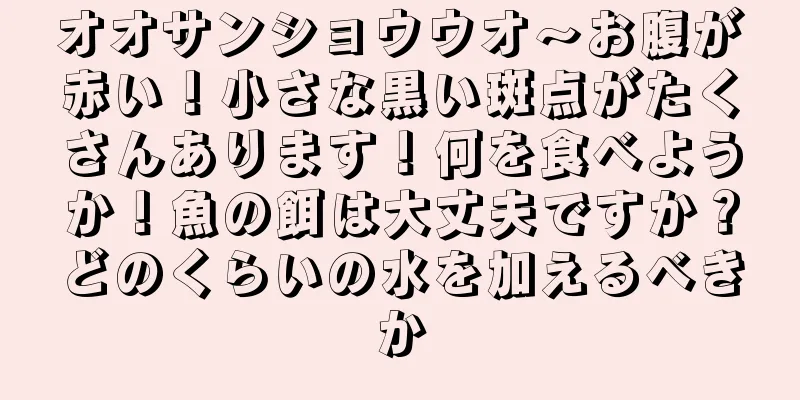 オオサンショウウオ～お腹が赤い！小さな黒い斑点がたくさんあります！何を食べようか！魚の餌は大丈夫ですか？どのくらいの水を加えるべきか