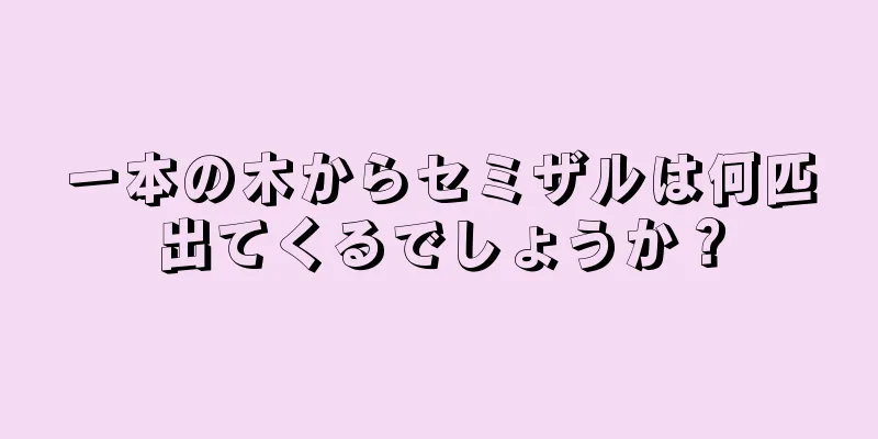 一本の木からセミザルは何匹出てくるでしょうか？