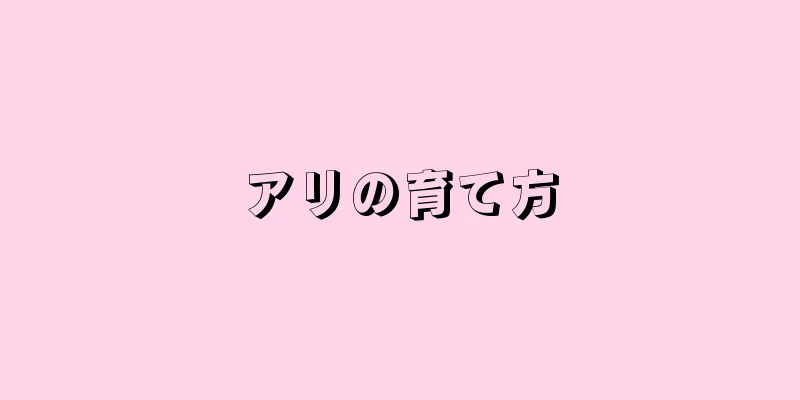 アリの育て方