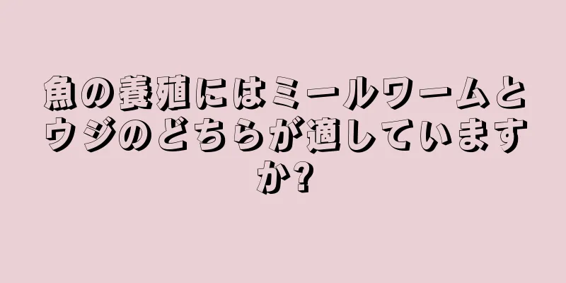 魚の養殖にはミールワームとウジのどちらが適していますか?