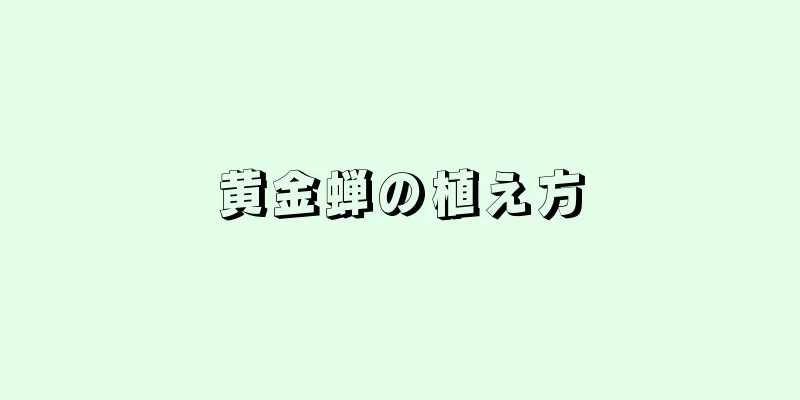 黄金蝉の植え方
