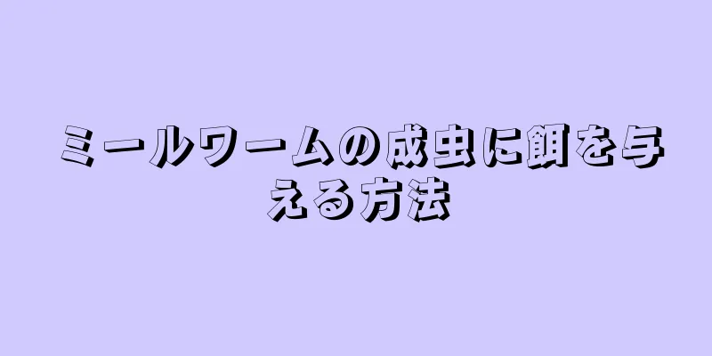ミールワームの成虫に餌を与える方法
