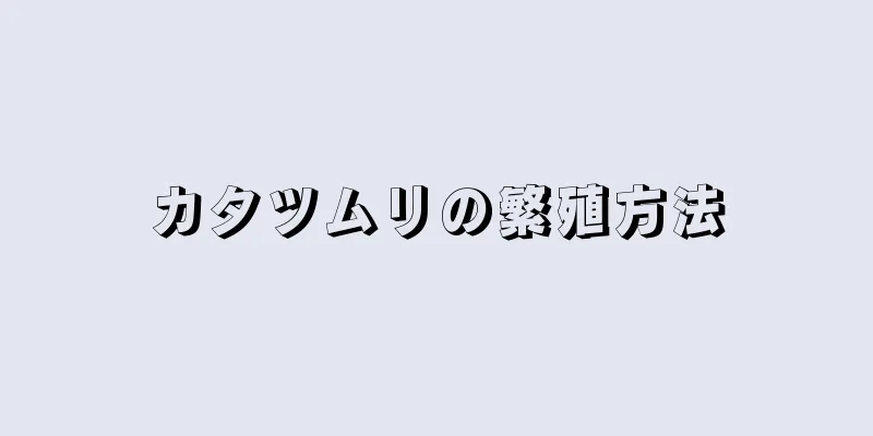 カタツムリの繁殖方法