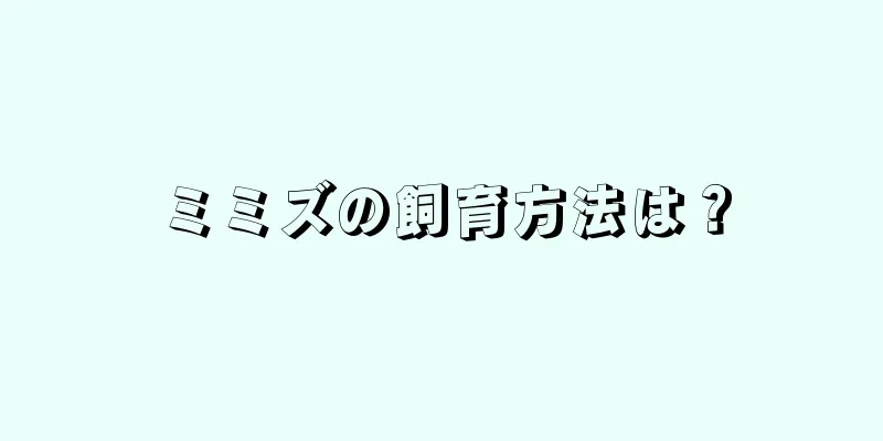 ミミズの飼育方法は？