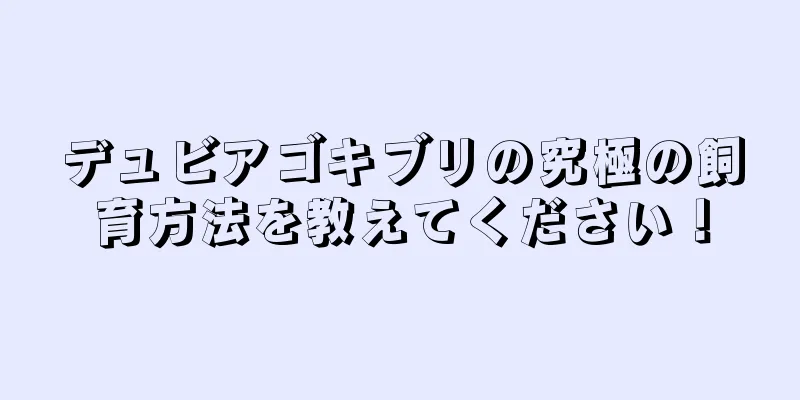 デュビアゴキブリの究極の飼育方法を教えてください！