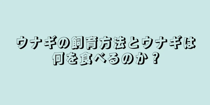 ウナギの飼育方法とウナギは何を食べるのか？