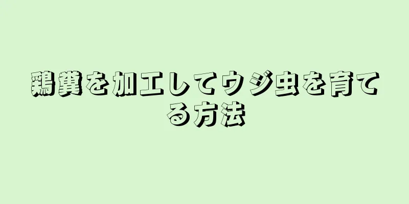 鶏糞を加工してウジ虫を育てる方法