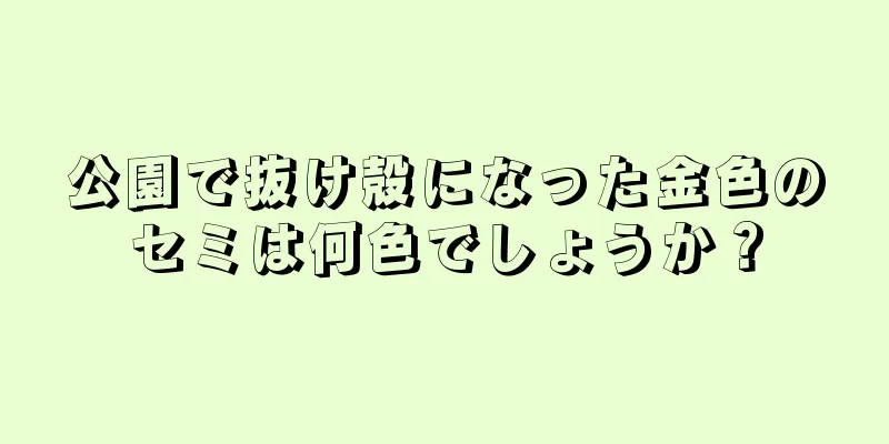 公園で抜け殻になった金色のセミは何色でしょうか？