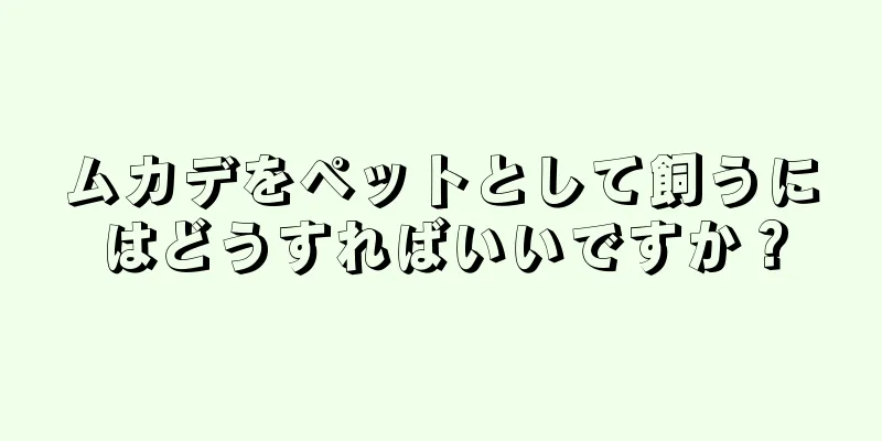 ムカデをペットとして飼うにはどうすればいいですか？