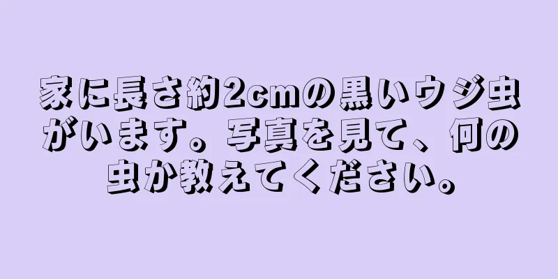 家に長さ約2cmの黒いウジ虫がいます。写真を見て、何の虫か教えてください。