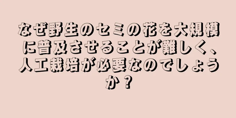 なぜ野生のセミの花を大規模に普及させることが難しく、人工栽培が必要なのでしょうか？