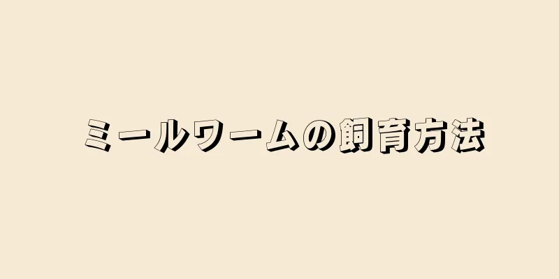 ミールワームの飼育方法