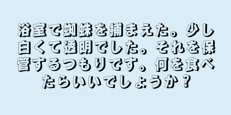 浴室で蜘蛛を捕まえた。少し白くて透明でした。それを保管するつもりです。何を食べたらいいでしょうか？