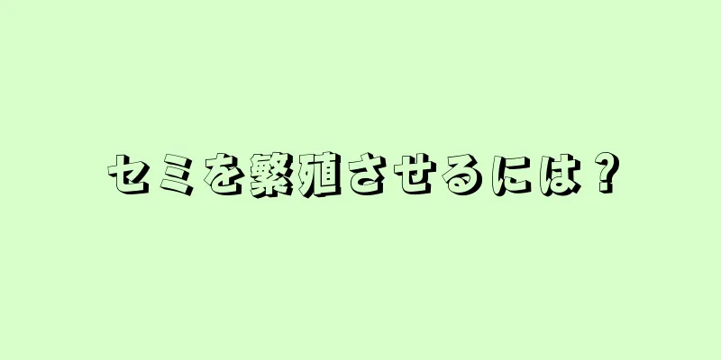 セミを繁殖させるには？