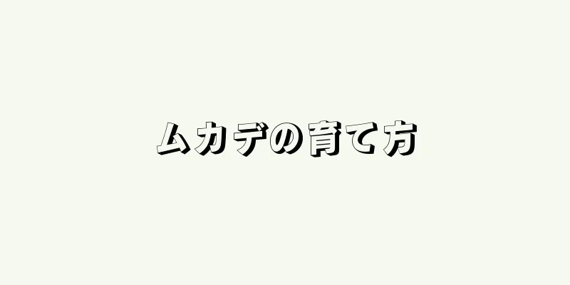 ムカデの育て方