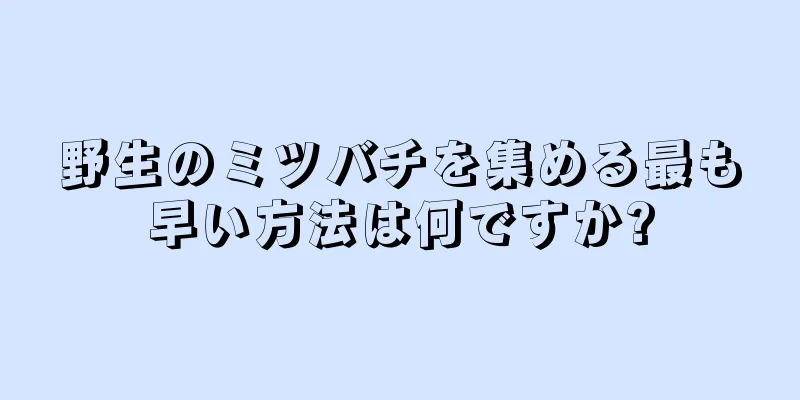 野生のミツバチを集める最も早い方法は何ですか?