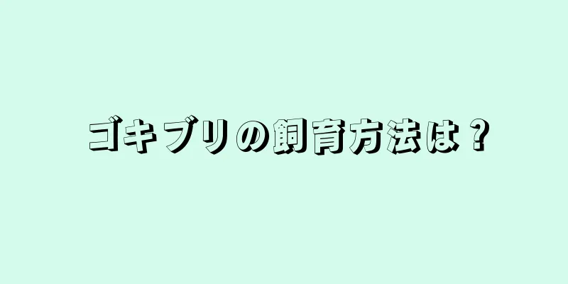 ゴキブリの飼育方法は？