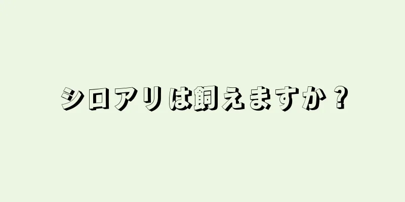 シロアリは飼えますか？