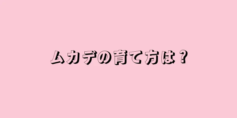 ムカデの育て方は？