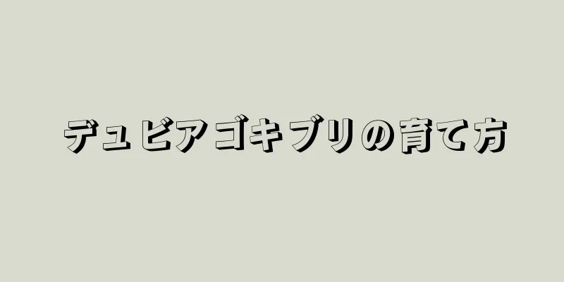 デュビアゴキブリの育て方